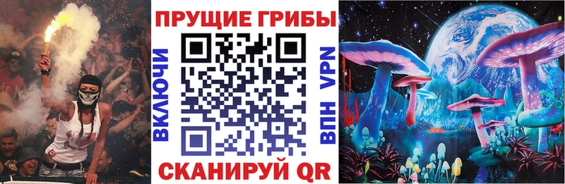 продажа наркотиков  Липецк  Галлюциногенные грибы Psilocybe 